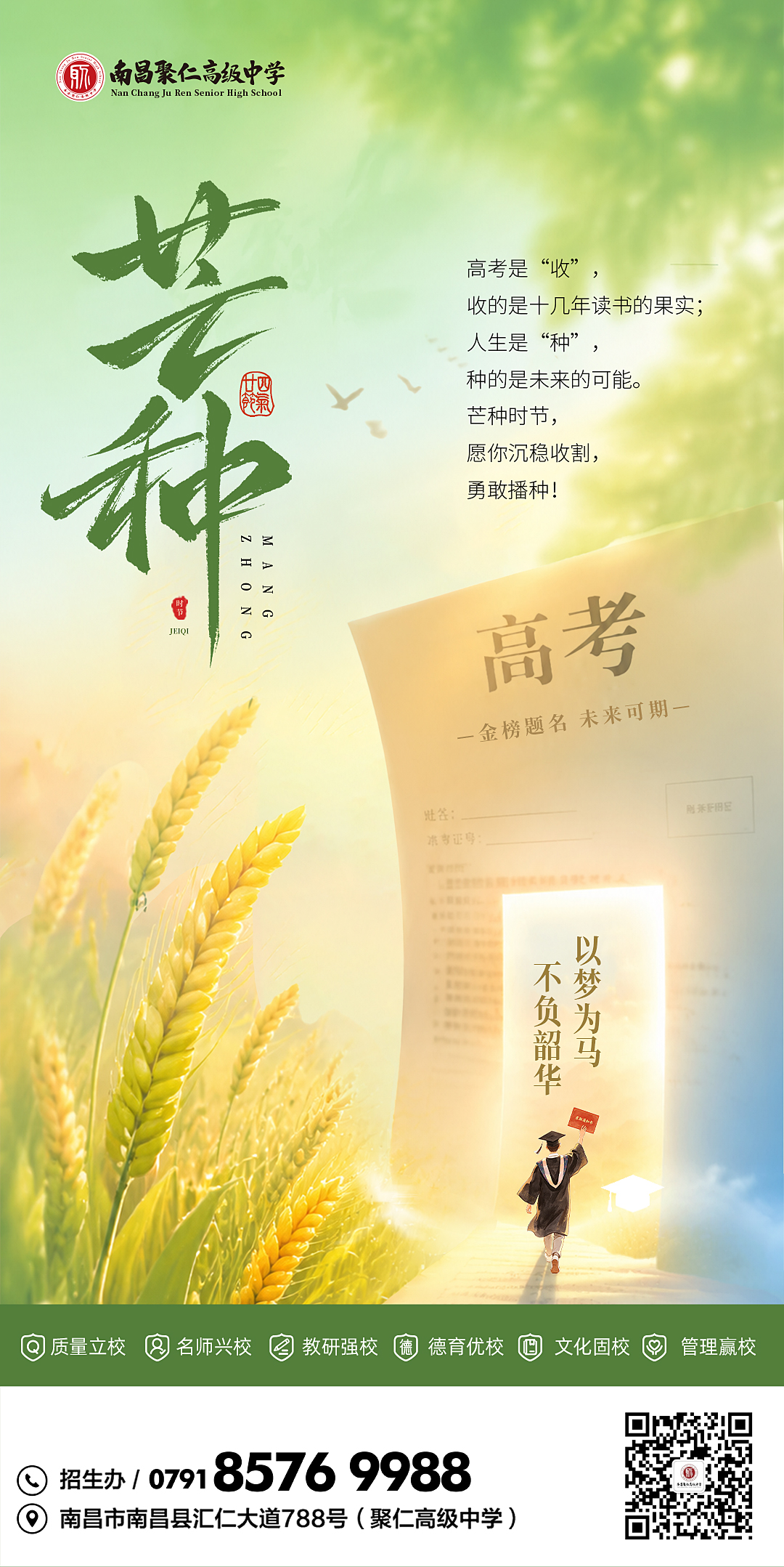 芒种海报